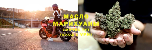 индика Вязьма