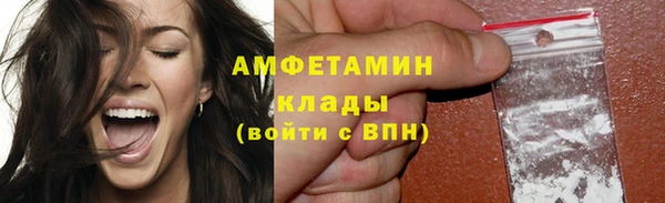 индика Вязьма