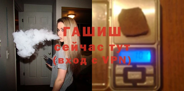 индика Вязьма