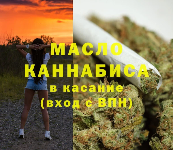 индика Вязьма