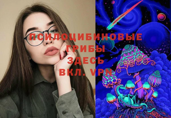 ПСИЛОЦИБИНОВЫЕ ГРИБЫ Волоколамск