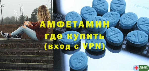 индика Вязьма