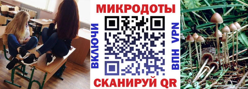 Псилоцибиновые грибы мицелий  Краснотурьинск 