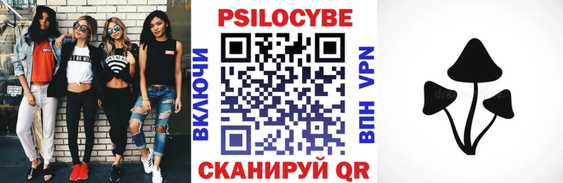 Галлюциногенные грибы Psilocybine cubensis Краснотурьинск